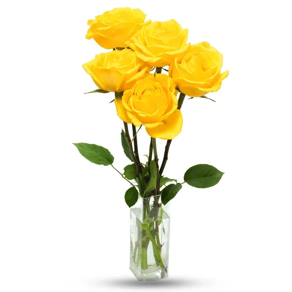 Rangkaian Mawar Kuning yang Elegan