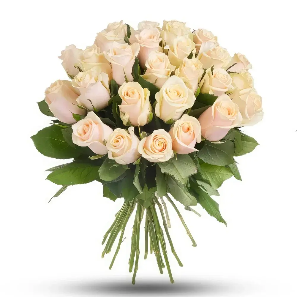 Buchet elegant de trandafiri crem
