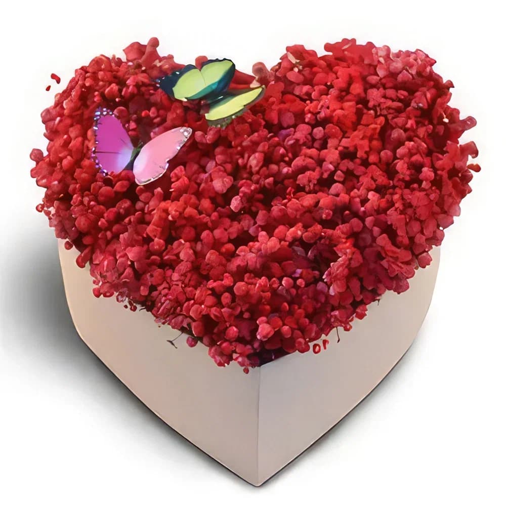 Cutie de inimă romantică roșie pentru suflarea bebelușului