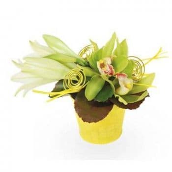 Cativante arranjo de flores Gaite